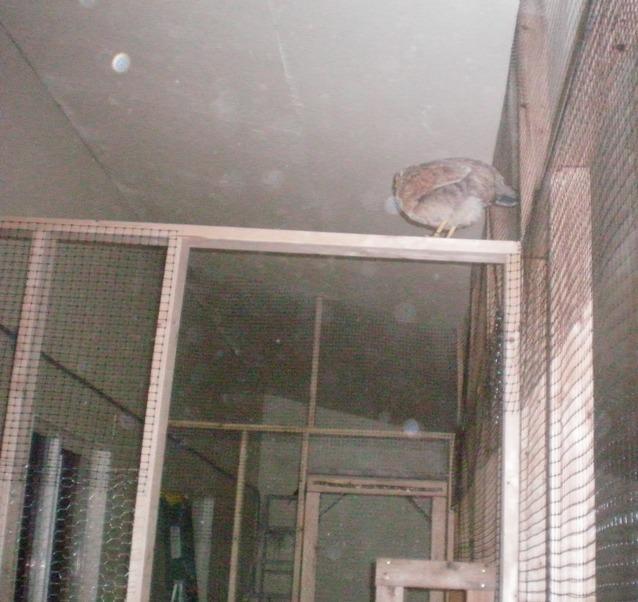 25270_up.jpg
