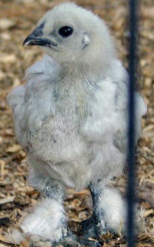 25346_cutebaby.jpg