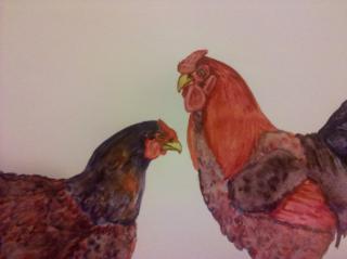 25386_img_20101118_202044.jpg
