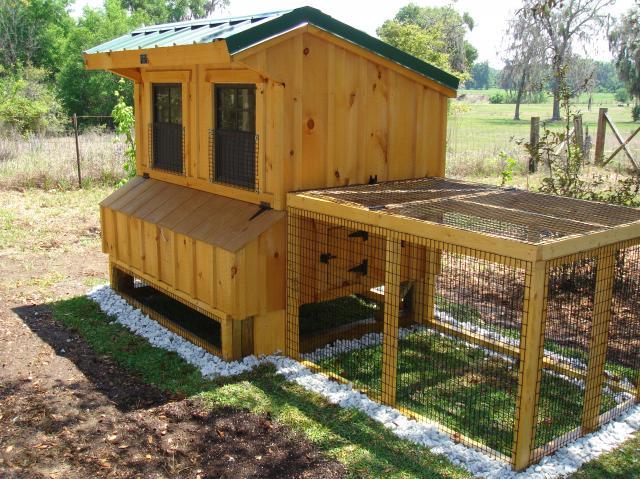 25427_coop_and_run_almost_done_008.jpg