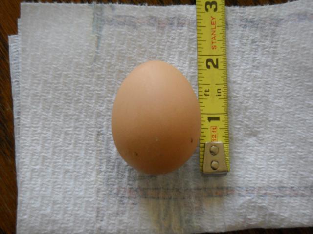 25535_dscn0058.jpg