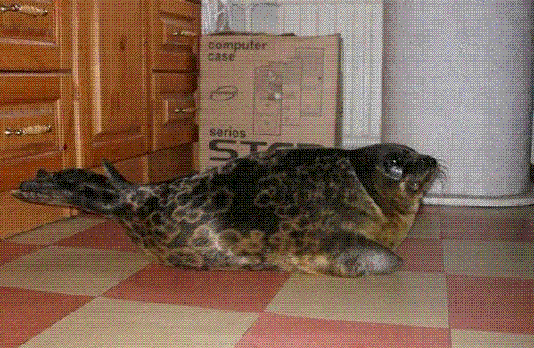 25535_seal.gif