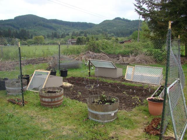 25566_dsc03777.jpg