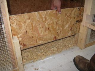 25643_img_0529.jpg