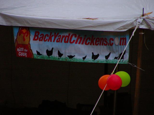 25649_chickenstock_onchiota_018.jpg