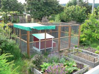 25688_completed_coop_2.jpg
