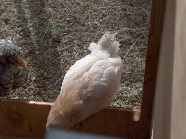 25689_041.jpg