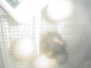25749_new_one_002.jpg