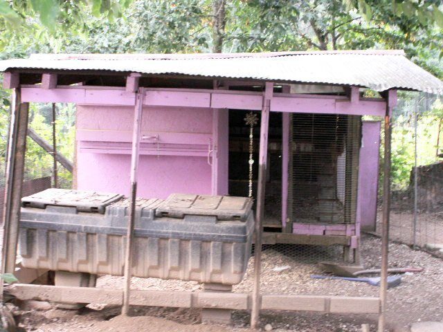2588_pict5791.jpg