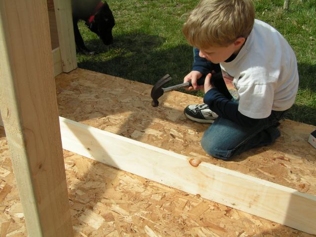 25894_pict0051.jpg