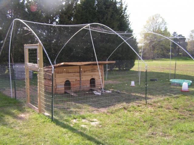 Making a duck coop | BackYard Chickens