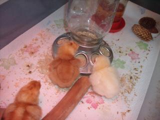 25961_gedc1222.jpg
