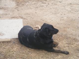 25961_maycee_and_lilly.jpg