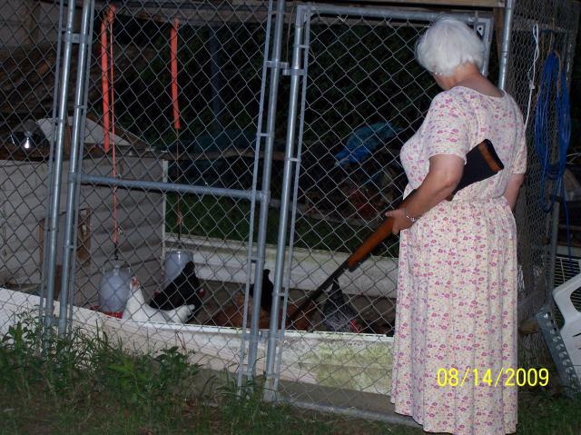 25968_chicken_lady2.jpg