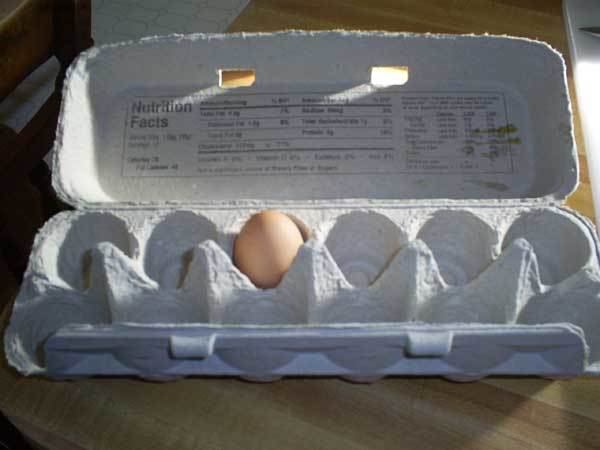 25978_egg.jpg