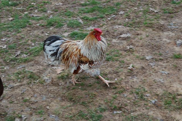26015_dsc_0041_small.jpg
