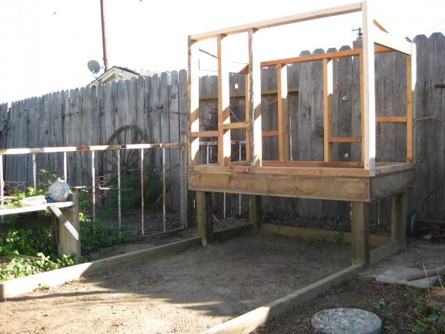 26020_chicken_r3_001.jpg