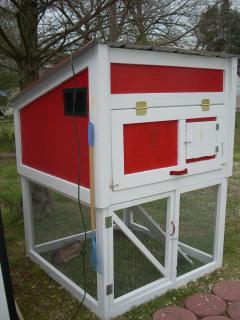 26070_chickens_march_2009_023.jpg