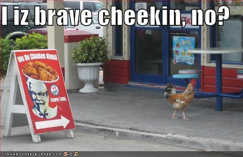 26107_funny-pictures-brave-chicken-kfc.jpg