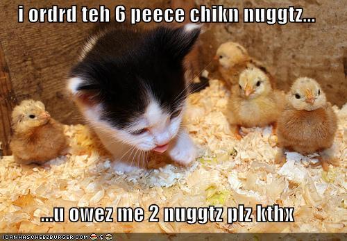 26107_funny-pictures-chicken-nuggets.jpg