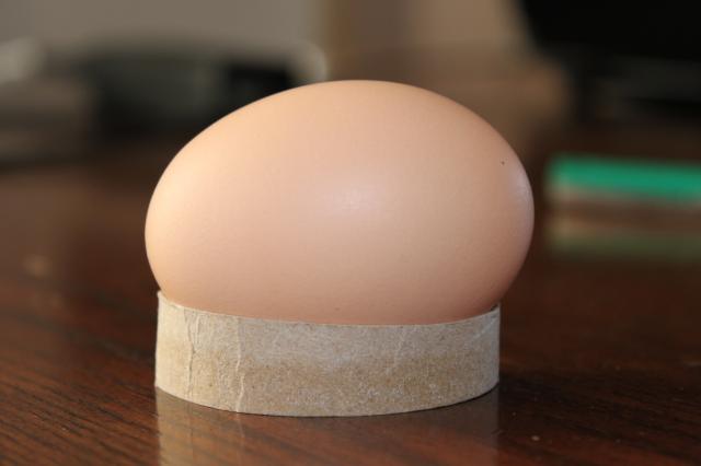 26245_egg_crates_040.jpg