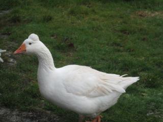26248_069.jpg
