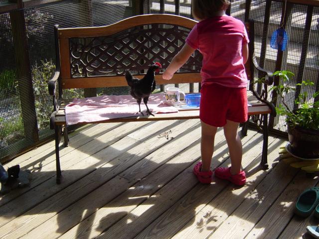 26385_dsc02577.jpg