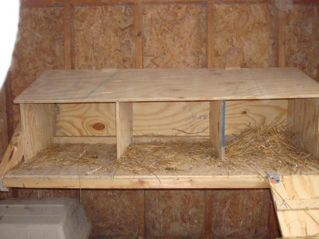 26445_dsc01253.jpg
