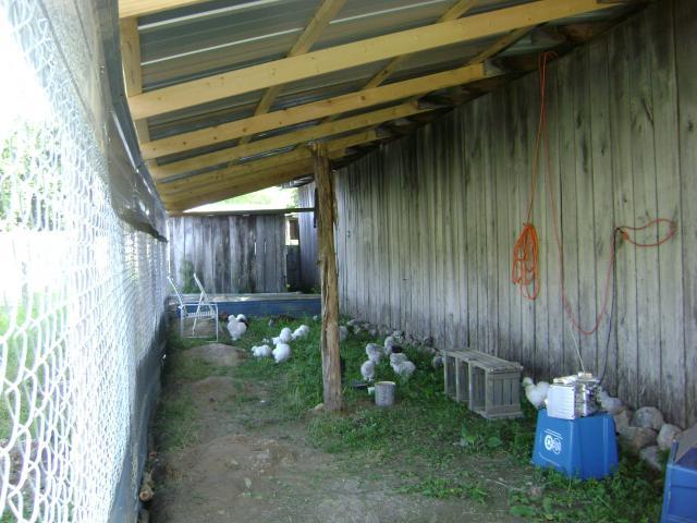 26449_dsc03135.jpg