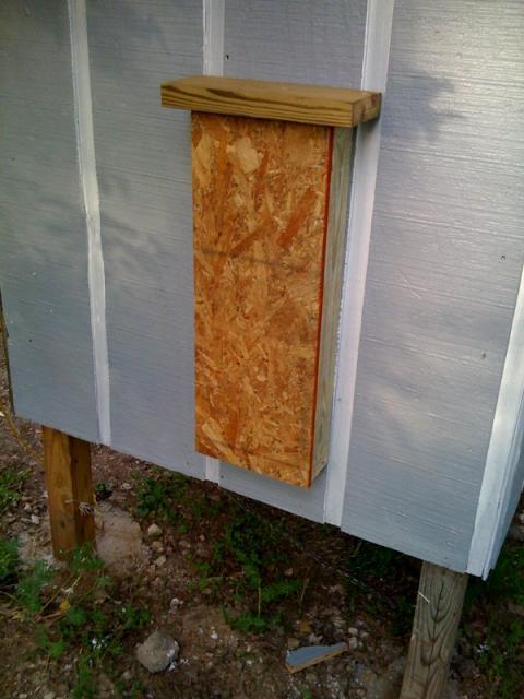 26458_customfeeder.jpg
