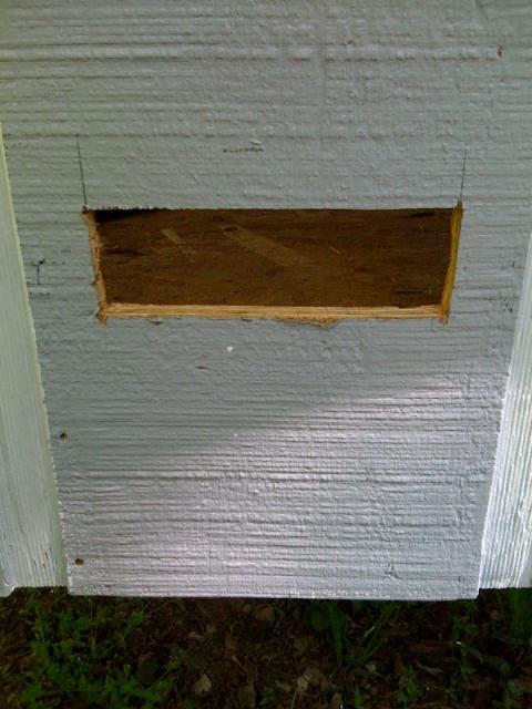 26458_feederbox1.jpg