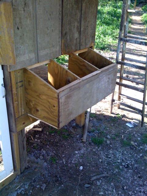 26458_nestingboxes.jpg