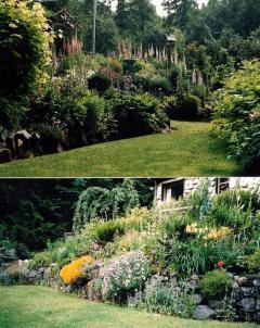 26477_copy_of_garden.jpg