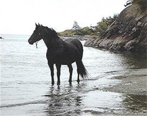 26477_della_ocean.jpg