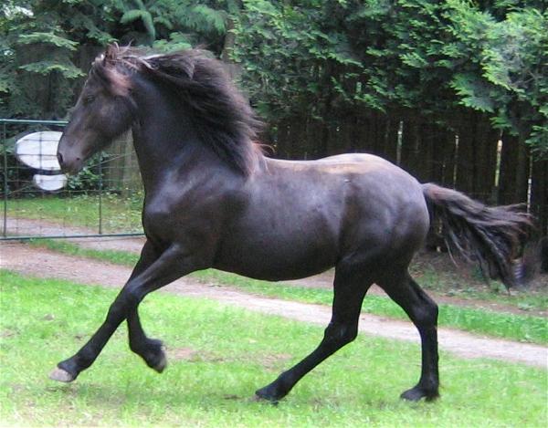 26477_vindelou.jpg