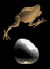 26580_chicken-egg-run.gif