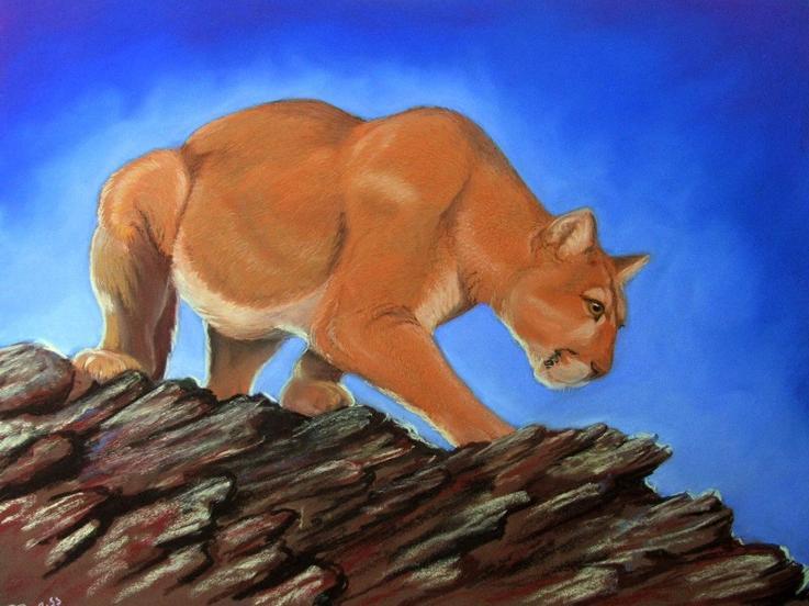 26631_cougar.jpg