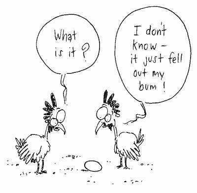 26632_bc_egg.jpg