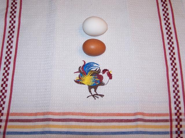 26636_006.jpg