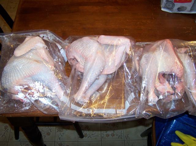 26636_100_4278.jpg