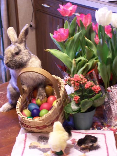 26636_easter2011e.jpg