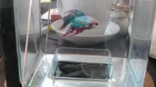 26708_img_0057.jpg
