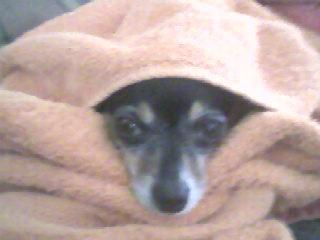 26710_a_cold_day.jpg