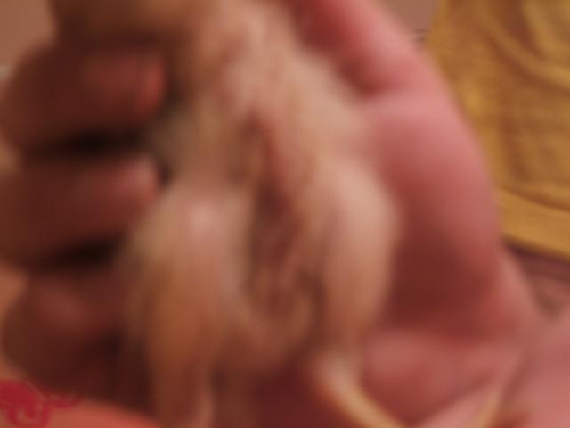 26723_dscf0990.jpg