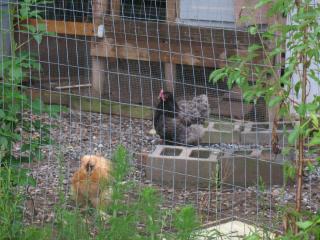 26741_garden_013.jpg