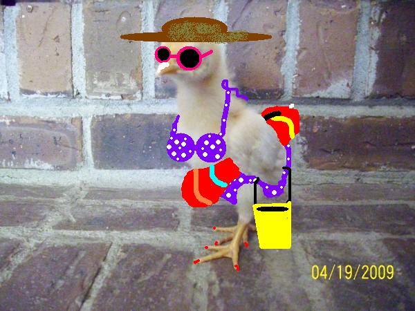 26808_chicky_bathing_suit.jpg