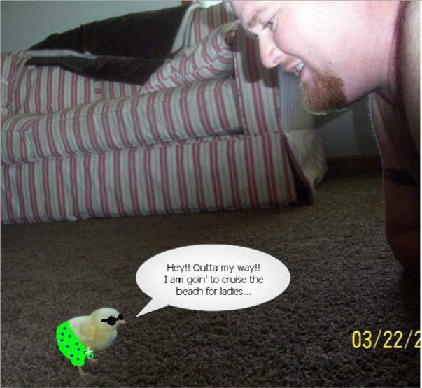 26808_funny_clucky.jpg