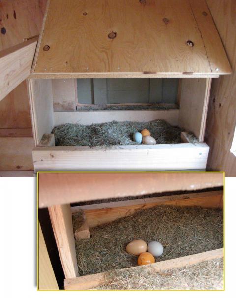 26840_nesting-box-1.jpg