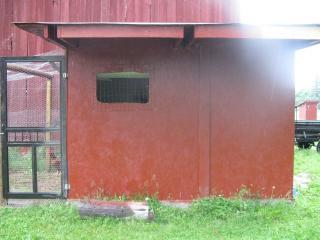 26854_chickens_and_coop_008.jpg