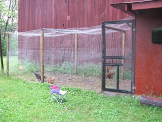 26854_chickens_and_coop_009.jpg